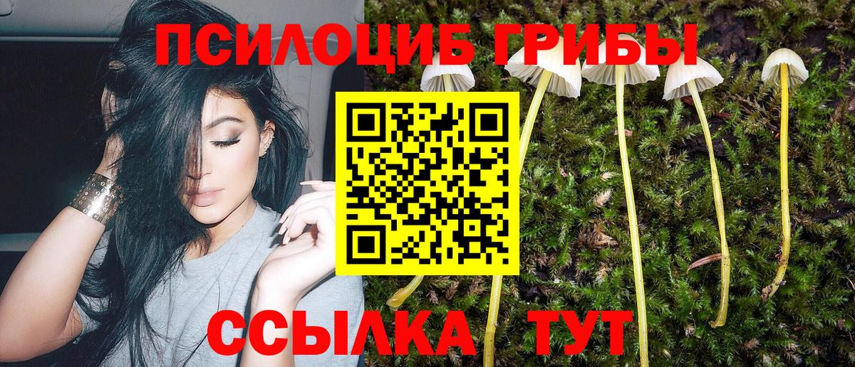 Псилоцибиновые грибы мухоморы Россия