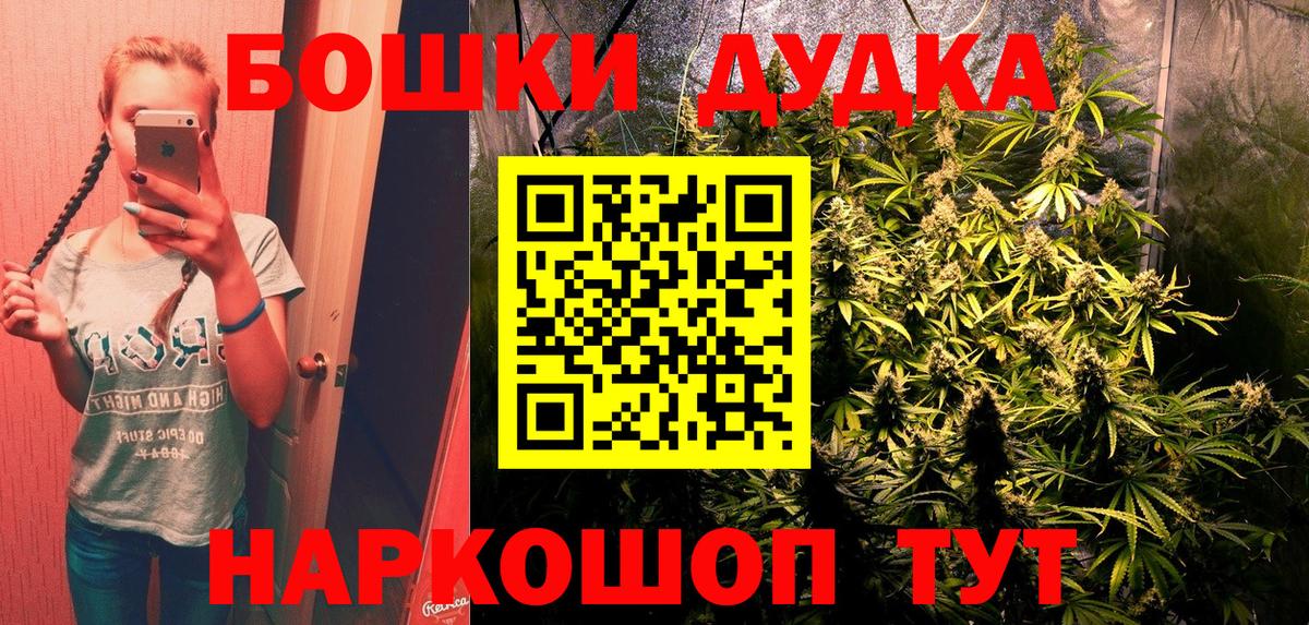 Конопля планчик Россия